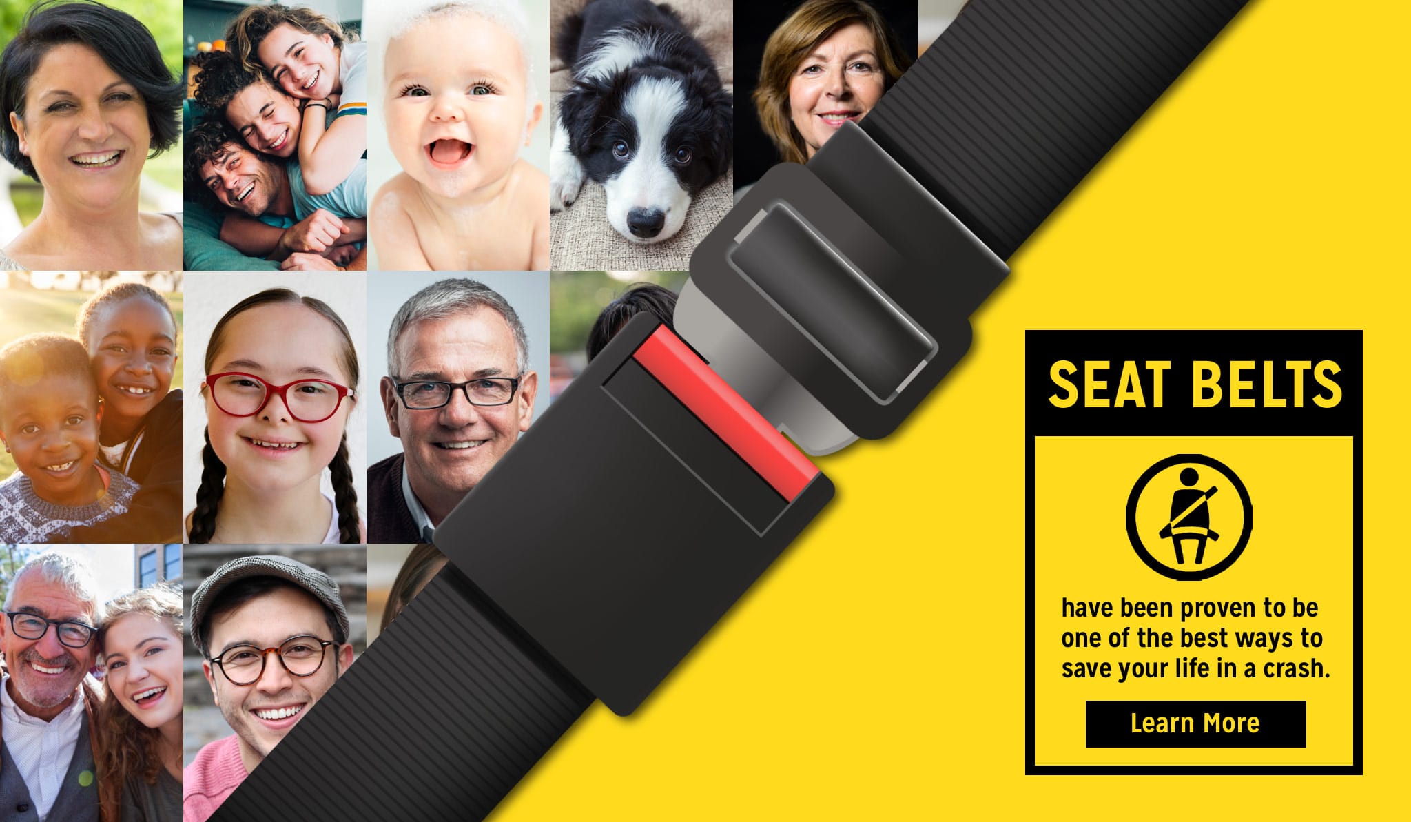 Learn more about seat belts